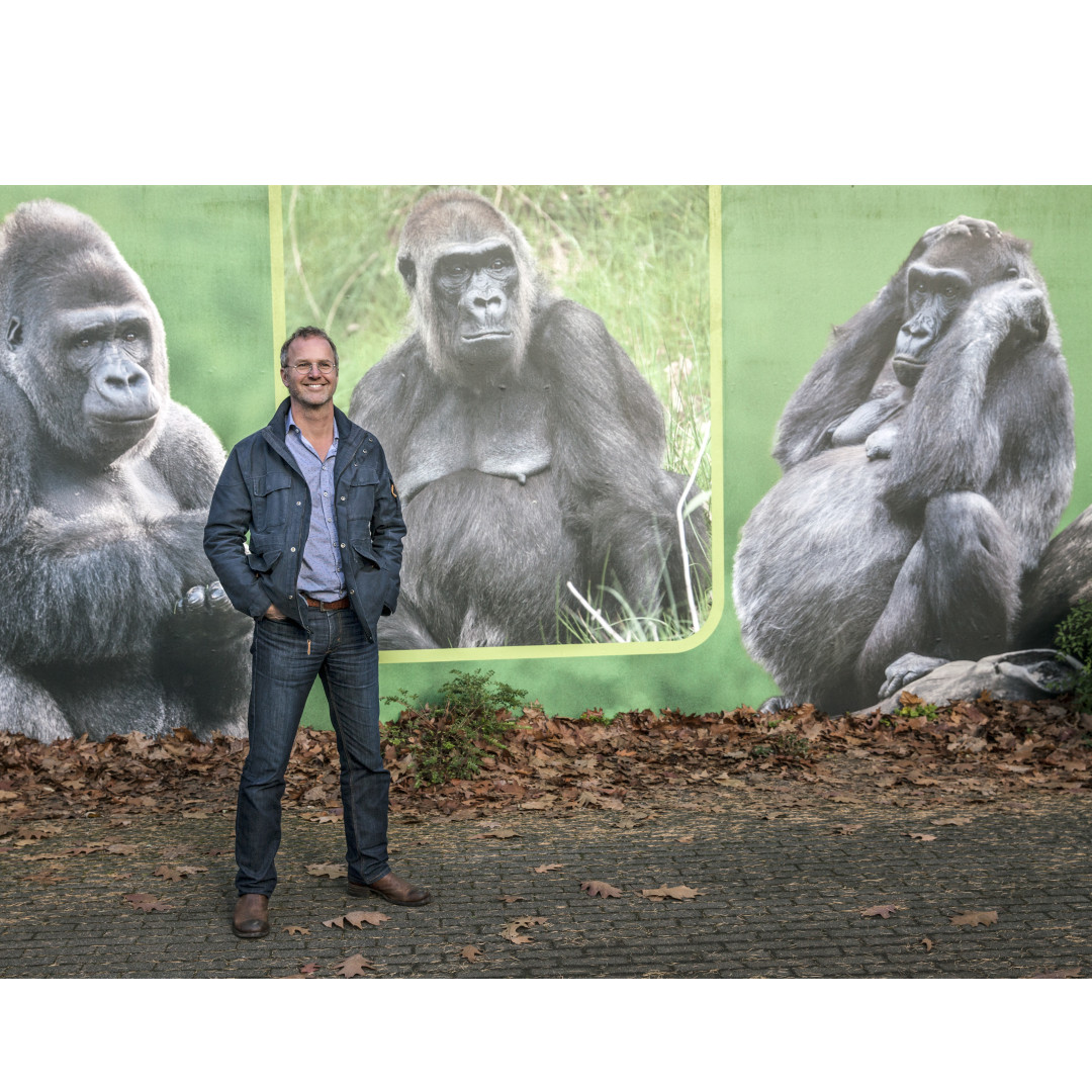 Patrick van Veen: Wijsheid van de aap